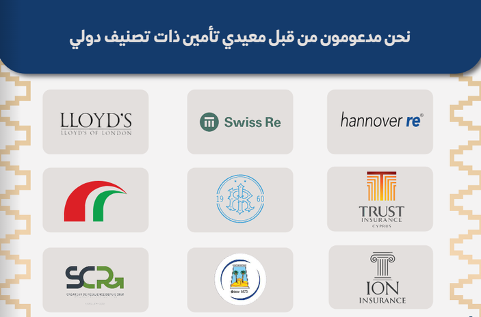We are safeguarded by reinsurance companies with high global ratings - Cover Image